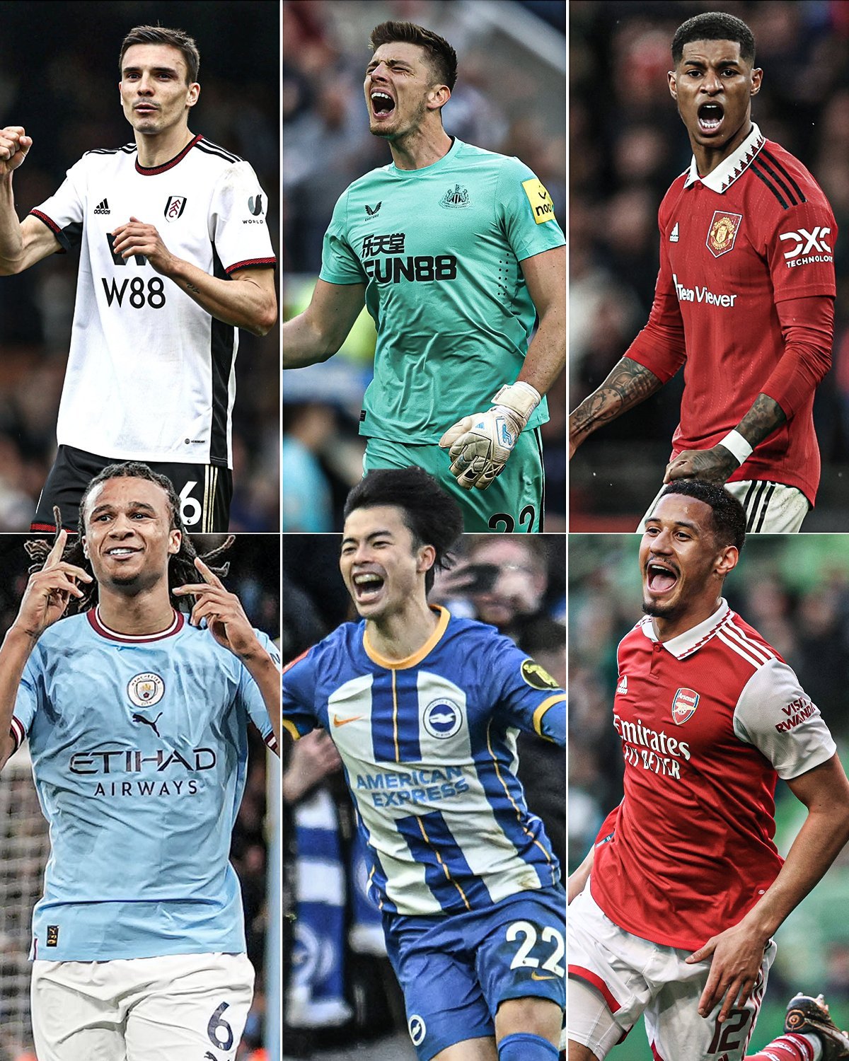 球迷们可以 球迷们可以