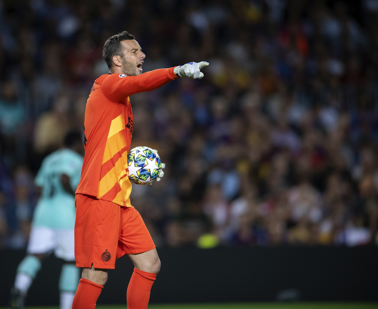 士眼中的焦 士眼中的焦